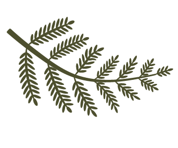 Remodelage corps par cryolipolyse Haguenau